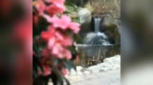 Суры:Аль- Ихляс, Аль- Фалак,Ан- Нас, Аят Аль- Курси. Слушайте перед сном.