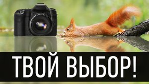 Какой фотоаппарат выбрать начинающему фотографу в 2022 году?