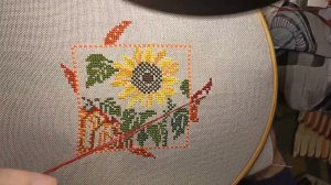 Подсолнух Милл Hill, новости нашего городка.