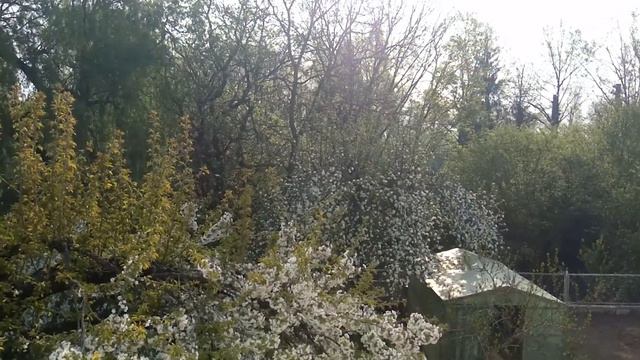 ПРИРОДА...Всем прекрасных выходных!!! смотреть онлайн