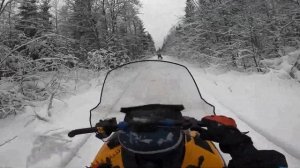 НОВОГОДНЯЯ ПОКАТУШКА В КАРЕЛИИ НА СНЕГОХОДАХ BRP SKI-DOO TUNDRA 550!!!// ИССЛЕДУЕМ ЗАСНЕЖЕННЫЙ ЛЕС!