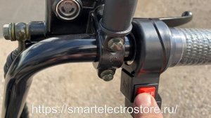 #Электроскутер #GT #Trike #X3 mini pro 48V13Ah 1000W Стоимость 55000₽ #SmartElectroStore