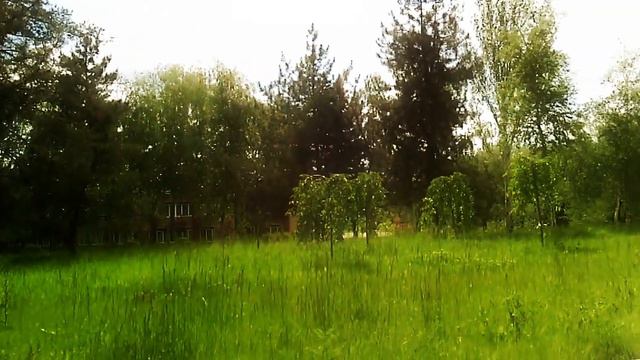 Парк возле Городского Дворца Детского И Юношеского Творчества смотреть онлайн