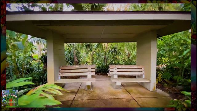 ОТДЫХ ДЛЯ ДУШИ - Прогулка по ТРОПИЧЕСКОМУ САДУ "Лу Гарденс" / Leu Gardens / - 🎑😍🌷 4К