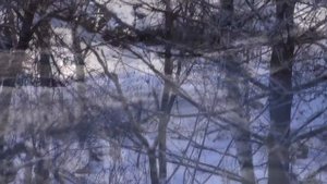 УЕХАТЬ НА АЛТАЙ // МОЙ ПЕРЕЕЗД В ДЕРЕВНЮ // ОБЗОР МЕСТА