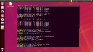 Linux для Начинающих - Работа с Директориями и самая опасная комманда Линукса