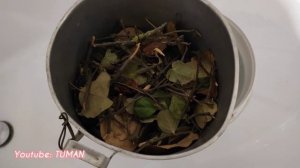 Выделка Лисьей Шкуры, просто и быстро без химикатов.