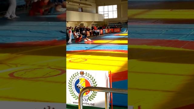 Sambo 2017 смотреть онлайн