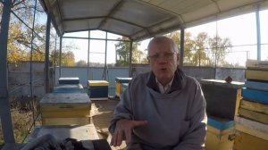Содержание пчел 300+145 Почему не кормим пчел и собираем гнезда в октябре