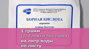 Слабая бледная герань как спасти. 3 совета на весну. Скорая помощь для пеларгоний.