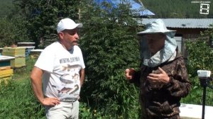 СРАВНЕНИЕ ПОРОД ПЧЕЛ БАКФАСТ, КАРНИКА И СРЕДНЕРУССКАЯ. БЕСЕДА НА ПАСЕКЕ ВЛАДИМИРА РЯБУХИНА НА УРАЛЕ