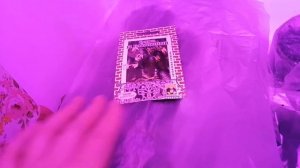 Фитолампа из Светофора