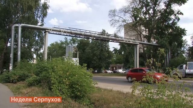 Стрекоза и муравей смотреть онлайн