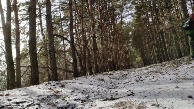 БЕЗМОЛВИЕ/СОЗЕРЦАЙ/ТУРИЗМ/ВЫЖИВАНИЕ/ВОЛГОГРАД/ПВД/ЛЕС/НОЖ/ смотреть онлайн