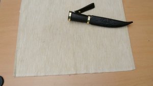 Финка  *Путешественница*