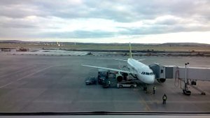 Как в аэропорту Кольцово разгружают богаж из самолета