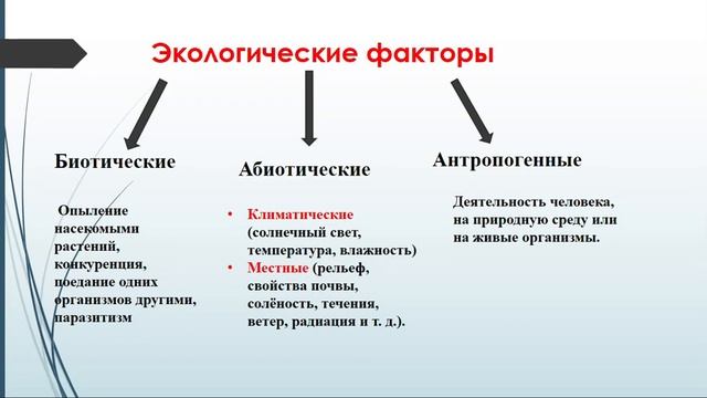 11 класс основы экологии