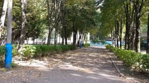 Лесные Поляны (Рядом с Балашихой)