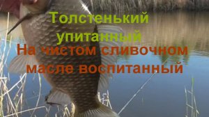 Рыбалка в Мае на карася! Карась  отлично клюёт в середине мая!