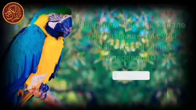 утренний дуа. дуа каждое утро смотреть онлайн