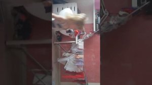 На полянке зайки танцевали))