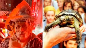 Открытия, которые поразили интернет