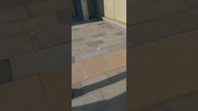 Хайит намози балашиха1. 11.08.2019 смотреть онлайн