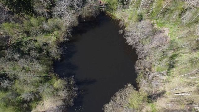 Петровский пруд #dronie смотреть онлайн