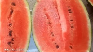 УДИВИЛИ арбузы сезона 2022 "ПАЛАДИН" и "БОЛЬШАЯ АМЕРИКАНСКАЯ РАДОСТЬ"