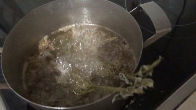 Мед из белоголовника лабазника таволга Приготовление рецепт меда Лекарственный сироп поддельный мёд