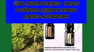 эфирное масло сандала /90% сандалола