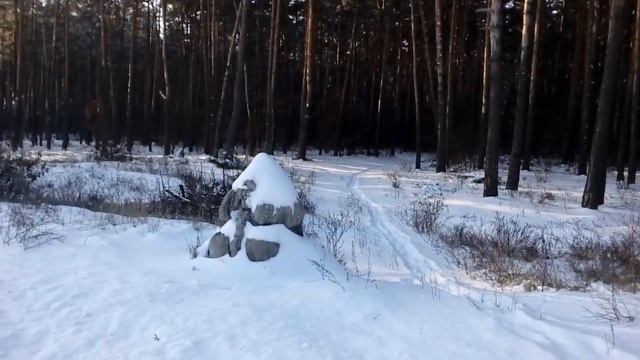 Прогулки по селу продолжаются.Околица села.декабрь 2018 # село Гавриловка# пригород Киева смотреть онлайн