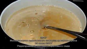 Рецепт классической пахлавы с грецким орехом и медом