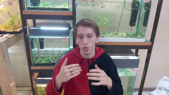 Первый аквариум | С чего начать? | Советы новичку