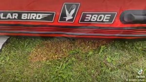 Polarbird 380E ( Орлан ). купил,  первая моя лодка