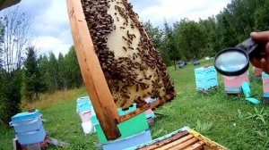 Часть 2 Норвежский метод по Уральски