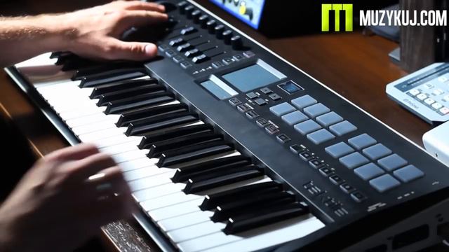 Korg taktile смотреть онлайн