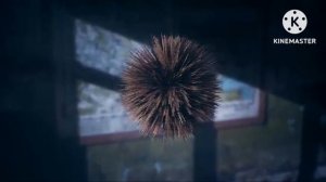 редкие артефакты в STALKER тень Чернобыля