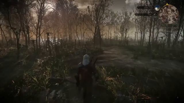 Обзор Демо The Witcher 3: Wild Hunt смотреть онлайн