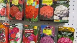 Выбираю цветы на весну. Какие цветы посадить на участке