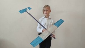 Схематическая модель планера. Горьковой Андрей.