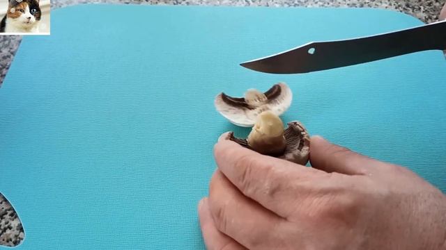 Мясо с Грибами в Духовке под сырной шубой