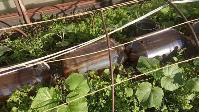 Песочная подкормка по ИАР смотреть онлайн