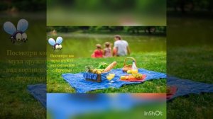 Весёлая гимнастика для глаз.