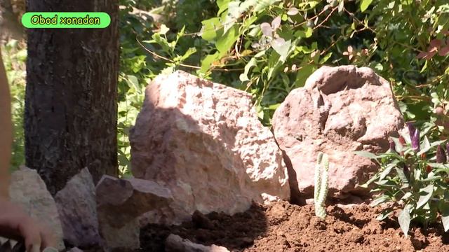 Obod xonadon efir 19 06 2021 смотреть онлайн