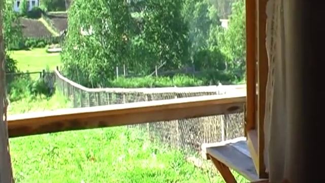 Горный Алтай. смотреть онлайн