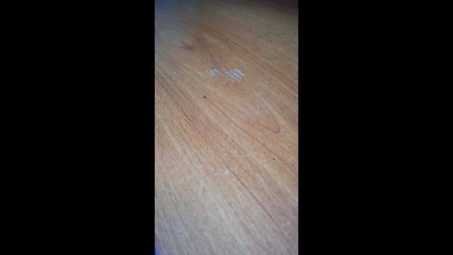 Пробую иностранные жевачки. Со вкусом Баварских сосисок ,угля ,воды смотреть онлайн