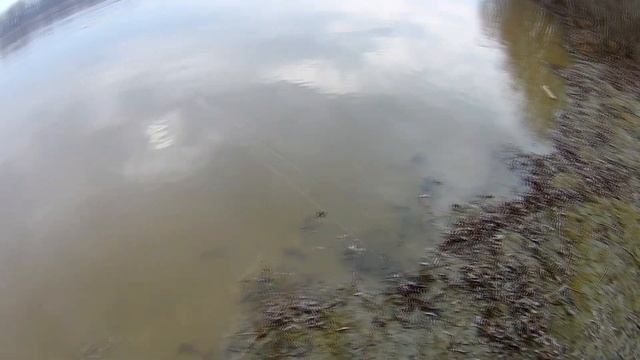 Весенняя рыбалка.Ловля налима. смотреть онлайн