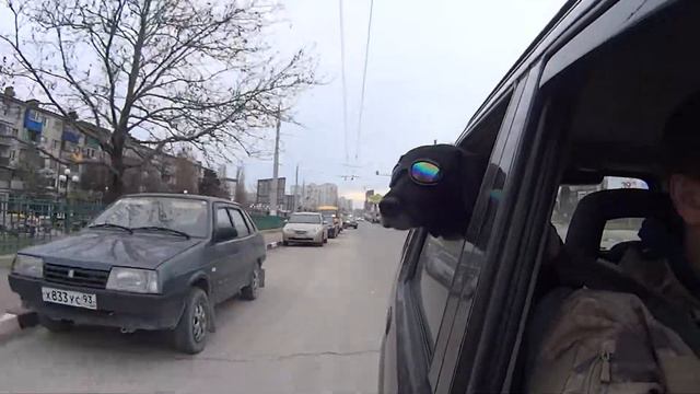 Лабрадор Жаннет, Новороссийск
