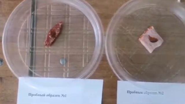 Технология производства и переработки  сельскохозяйственной продукции»